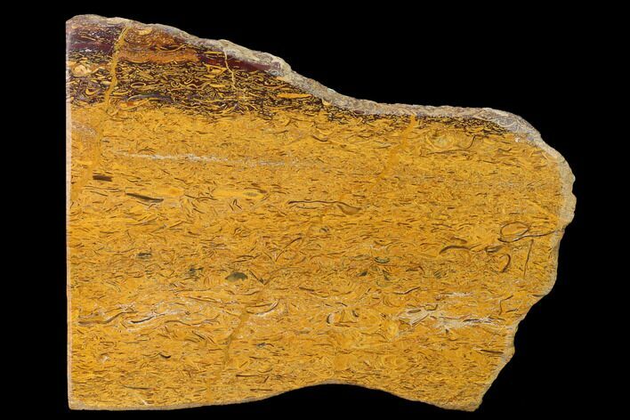 Polished Miriam Stone Slab - India #167778